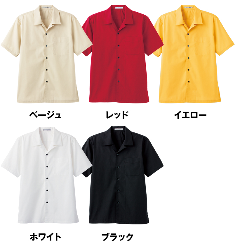 色展開