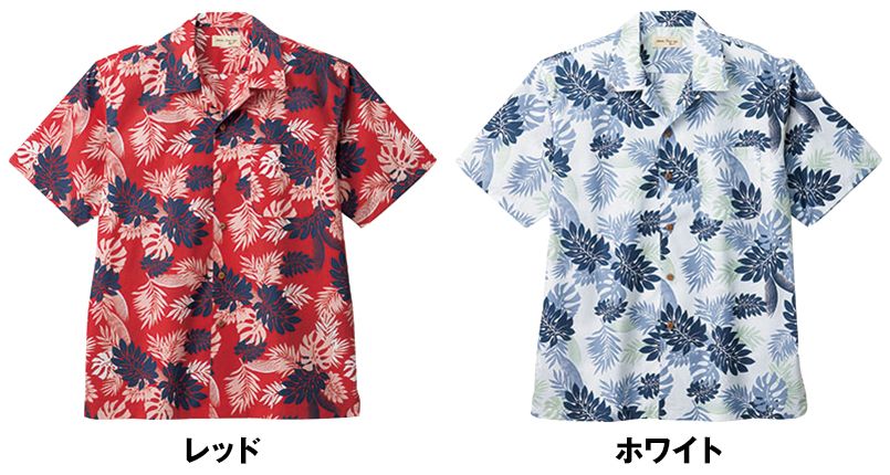 色展開