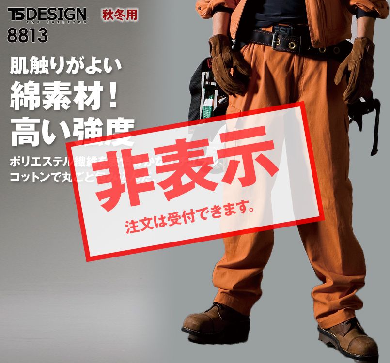 TS DESIGN 8813 綿の肌触りと高強度!チペアツータックカーゴパンツ